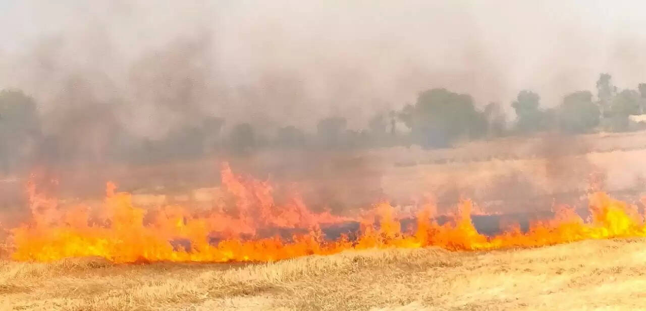 Jind election mudda : धूल, धुआं...और विश्व के प्रदूषित शहरों में शामिल हमारा जींद, मतदाता मांगे साफ हवा