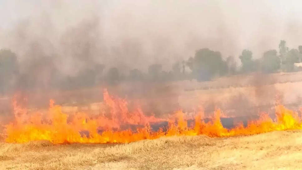 Jind election mudda : धूल, धुआं...और विश्व के प्रदूषित शहरों में शामिल हमारा जींद, मतदाता मांगे साफ हवा