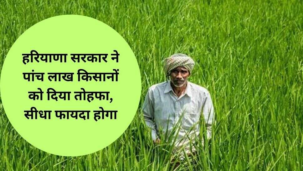 Haryana kisaan loan : हरियाणा सरकार ने पांच लाख किसानों को दिया तोहफा, सीधा फायदा होगा