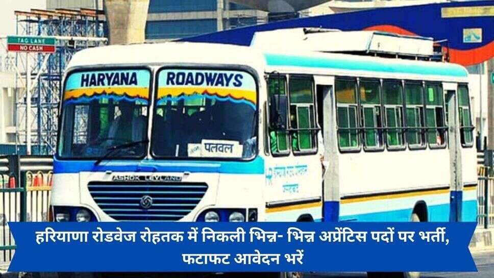 Rohtak Roadways Vacancy 2024 : हरियाणा रोडवेज रोहतक में निकली भिन्न- भिन्न अप्रेंटिस पदों पर भर्ती, फटाफट आवेदन भरें