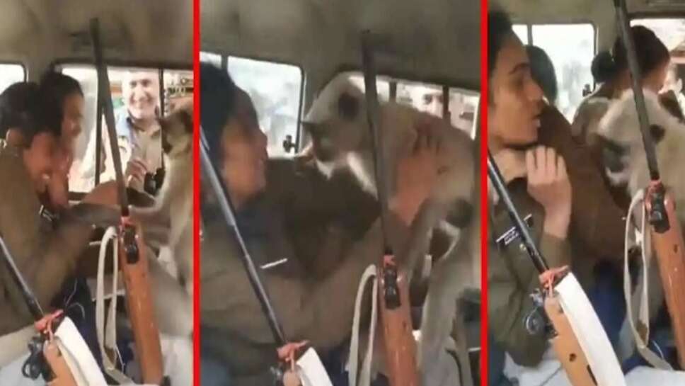Viral video : पुलिस की गाड़ी में घुसा बंदर, महिला सिपाही के साथ करने लगा ये हरकत, देखें वीडियो