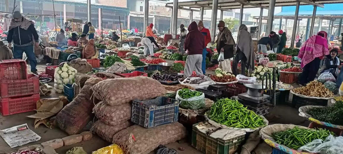 Haryana strike : हिट एंड रन कानून के विराेध में हड़ताल के चलते HP की गैस सप्लाई प्रभावित, फल-सब्जियों के रेट 10 से 15 रुपए भाव बढ़े, प्राइवेट बस चालक लौट सकते हैं रूटों पर