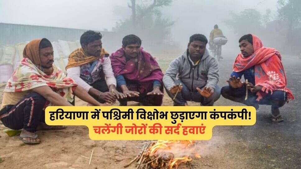 हरियाणा में पश्चिमी विक्षोभ छुड़ाएगा कंपकंपी! चलेंगी जोरों की सर्द हवाएं, देखें आज के मौसम का हाल