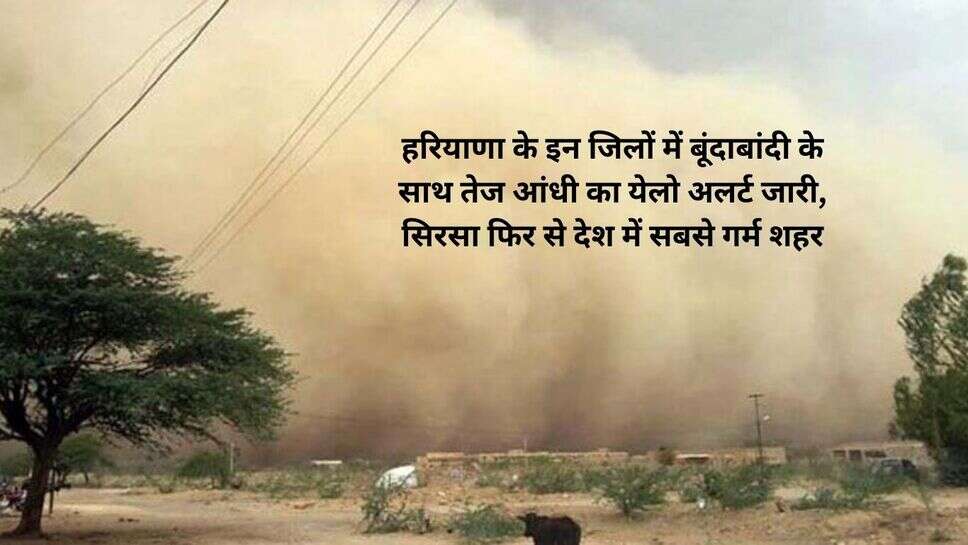 Haryana Weather News : हरियाणा के इन जिलों में बूंदाबांदी के साथ तेज आंधी का येलाे अलर्ट जारी, सिरसा फिर से देश में सबसे गर्म शहर