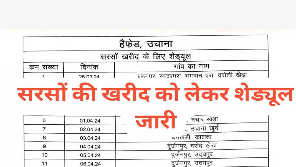 Mustard procurement : हैफेड ने जारी किया सरसों की खरीद का शेड्यूल, 26 तारीख से इस दिन तक होगी खरीद, इस दिन रहेगी छुट्टी