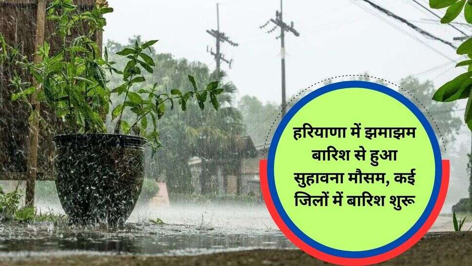 Haryana Rain weather : हरियाणा में झमाझम बारिश से हुआ सुहावना मौसम, कई जिलों में बारिश शुरू