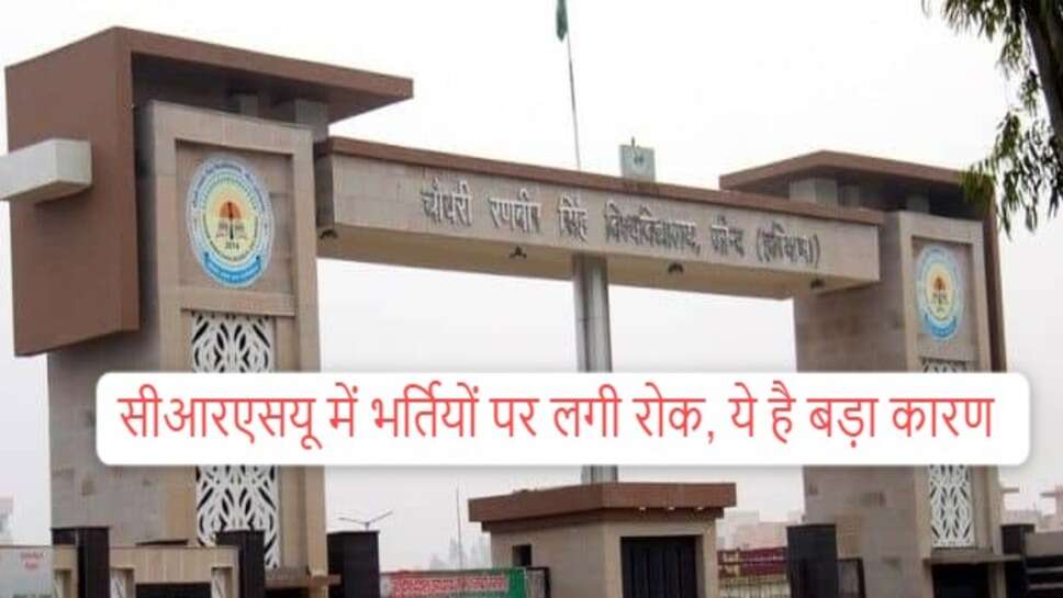 Haryana news : हरियाणा की 2 यूनिवर्सिटी CRSU और CDLU में चल रही भर्तियों पर लगी रोक