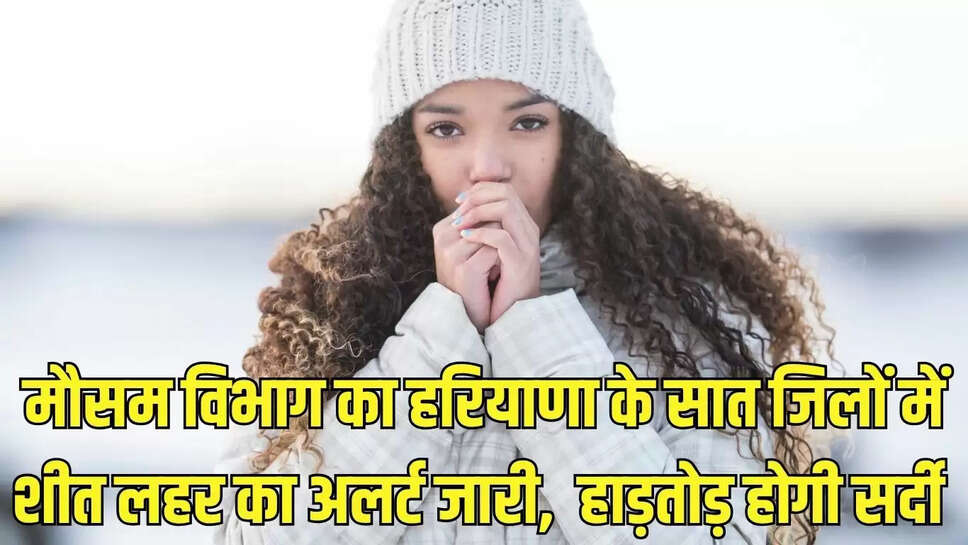 weather alert  मौसम विभाग का हरियाणा के सात जिलों में शीत लहर का अलर्ट जारी,  हाड़तोड़ होगी सर्दी 