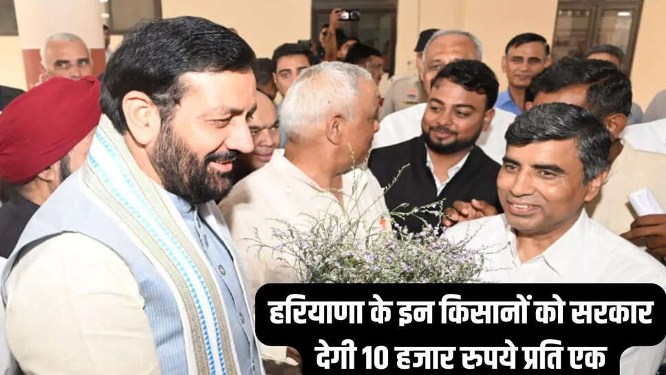 Haryana News  हरियाणा के इन किसानों को सरकार देगी 10 हजार रुपये प्रति एकड़, सीएम सैनी की घोषणा