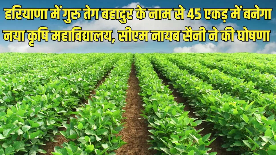 New Agricultural University  हरियाणा में गुरु तेग बहादुर के नाम से 45 एकड़ में बनेगा नया कृषि महाविद्यालय, सीएम नायब सैनी ने की घोषणा 
