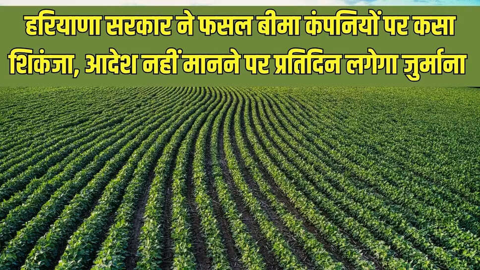 PM crop insurance  हरियाणा सरकार ने फसल बीमा कंपनियों पर कसा शिकंजा, आदेश नहीं मानने पर प्रतिदिन लगेगा जुर्माना 