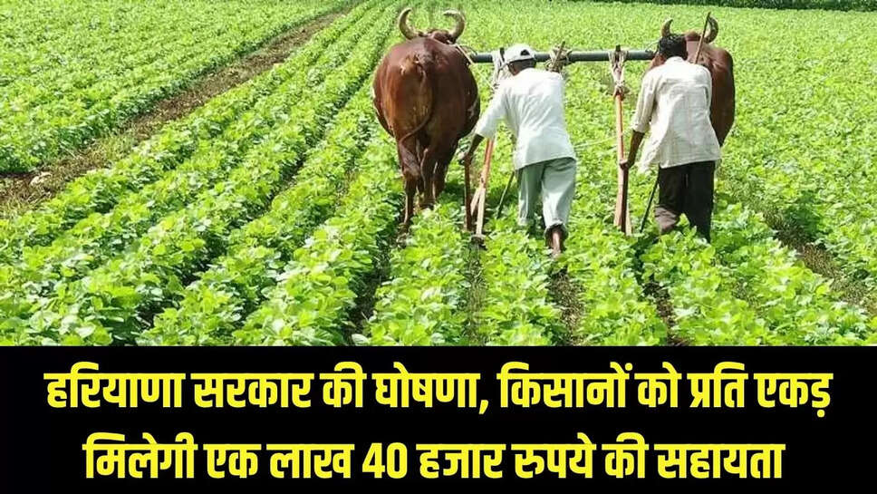 Haryana Kisan Yojana  हरियाणा सरकार की घोषणा,  किसानों को प्रति एकड़ मिलेगी एक लाख 40 हजार रुपये की सहायता 