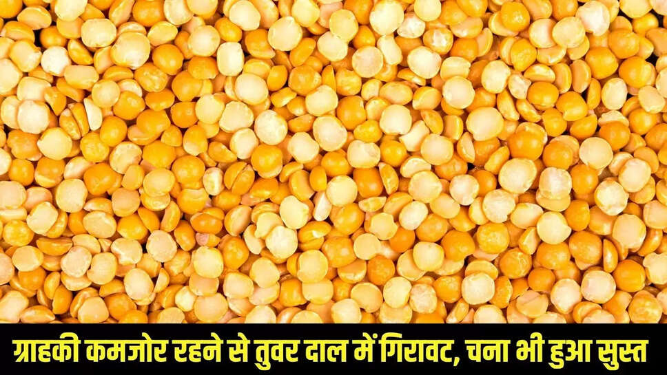 Mandi Bhav Today  ग्राहकी कमजोर रहने से तुवर दाल में गिरावट, चना भी हुआ सुस्त 