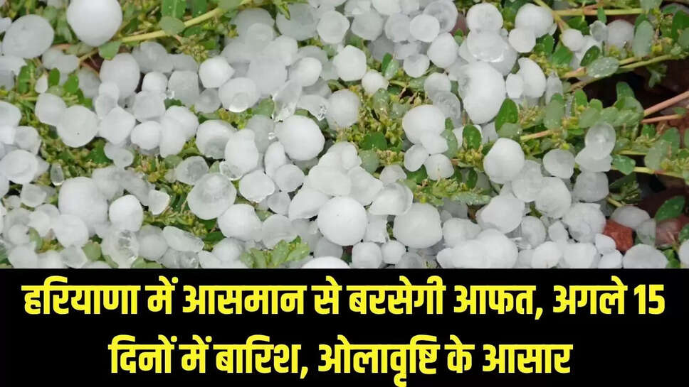 Haryana Hailstorm : हरियाणा में आसमान से बरसेगी आफत, अगले 15 दिनों में बारिश, ओलावृष्टि के आसार 