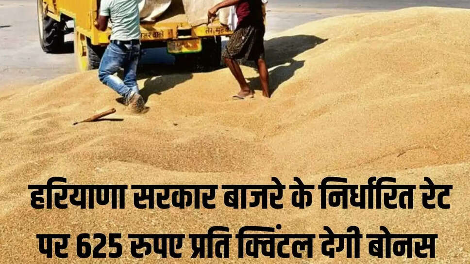 Haryana Govt : हरियाणा सरकार बाजरे के निर्धारित रेट पर 625 रुपए प्रति क्विंटल देगी बोनस 