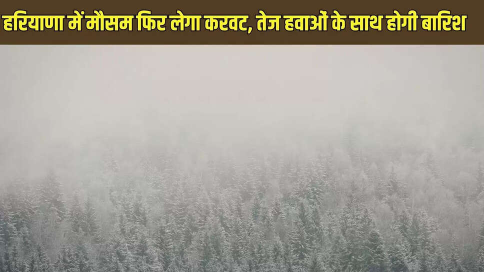 Haryana weather  हरियाणा में मौसम फिर लेगा करवट, तेज हवाओं के साथ होगी बारिश 