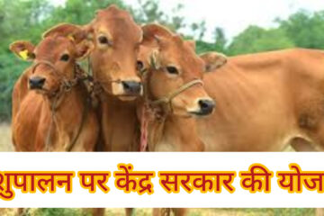 pashu beema yojana now only 15 percent premium will be charged in livestock insurance