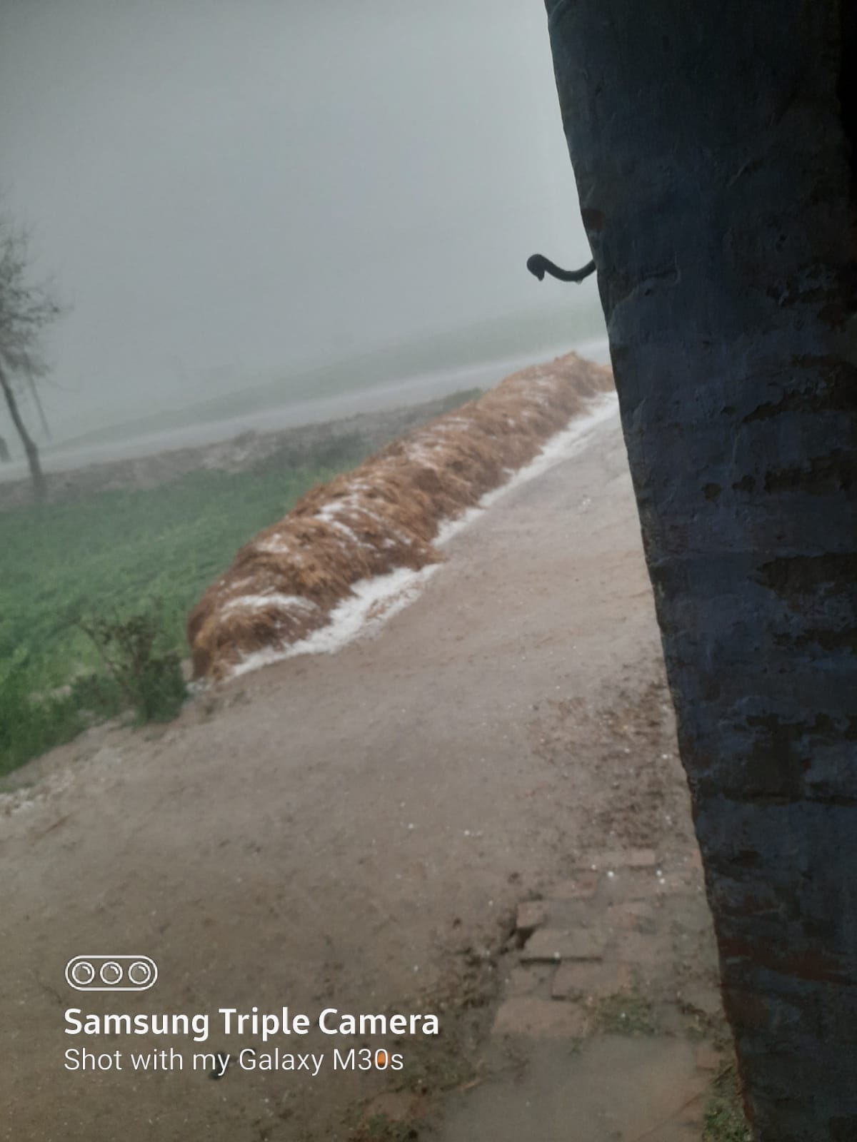 Sirsa hailstrom News: सिरसा में भारी बारिश और ओलावर्ष्टि से किसानों की उडी नींद, जानें बाकी जिलों का हाल