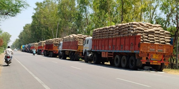 Jind news: Lack of labor to unload crops in warehouses, vehicles standing waiting the whole day, this is the big reason