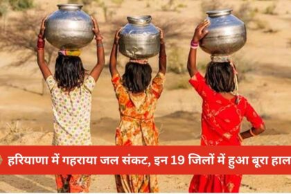 Water crisis deepens in Haryana, condition is bad in these 19 districts