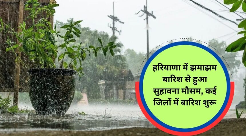 Pleasant weather due to heavy rain in Haryana, rain started in many districts