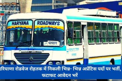 Recruitment for various apprentice posts in Haryana Roadways Rohtak, fill application immediately