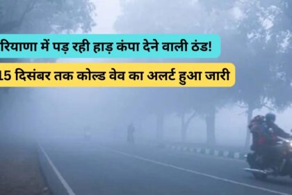 haryana Weather News