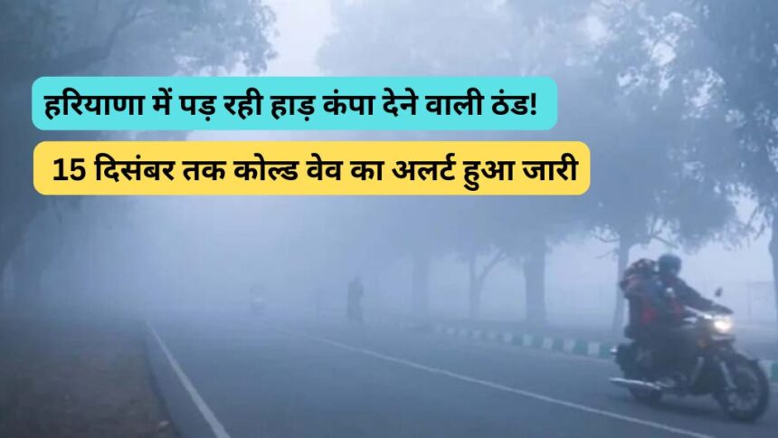 haryana Weather News