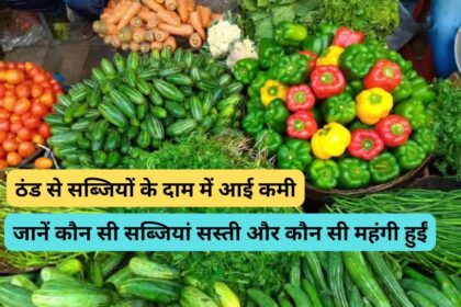 Vegetables Price